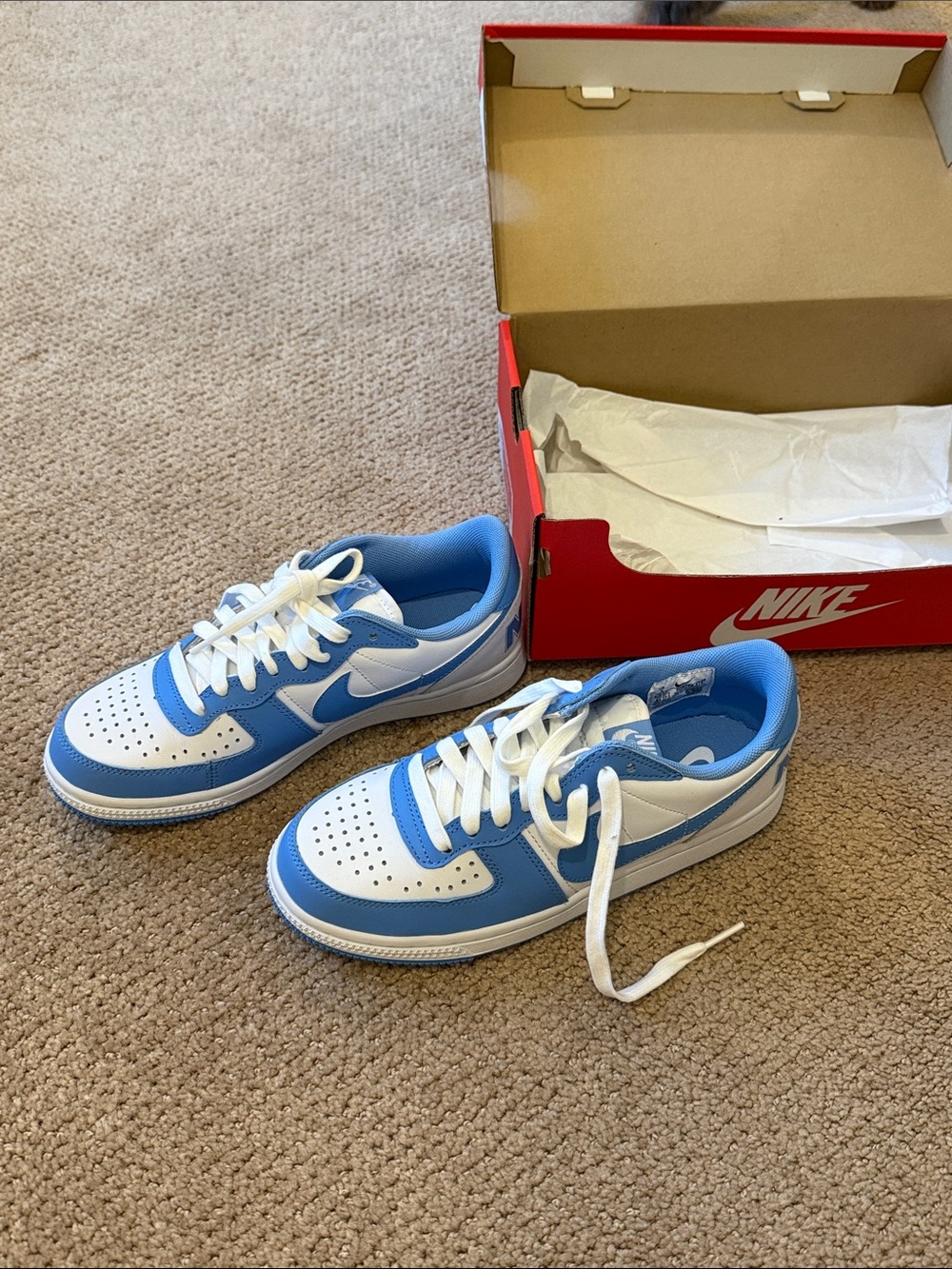 Nike Low-Top Athletic Sneakers in Light Blue and White